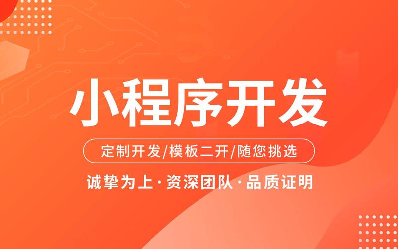小程序商城模板 vs 定制開發：成本、效果與選擇全解析 | SEO優化對比指南